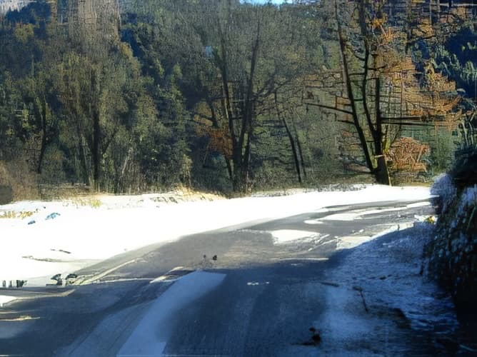 Bild zu Frage 10