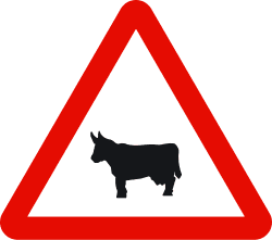Haustiere