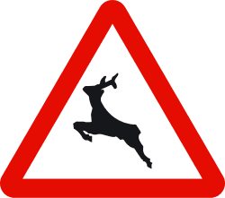 Wild animals