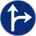 Only permitted directions