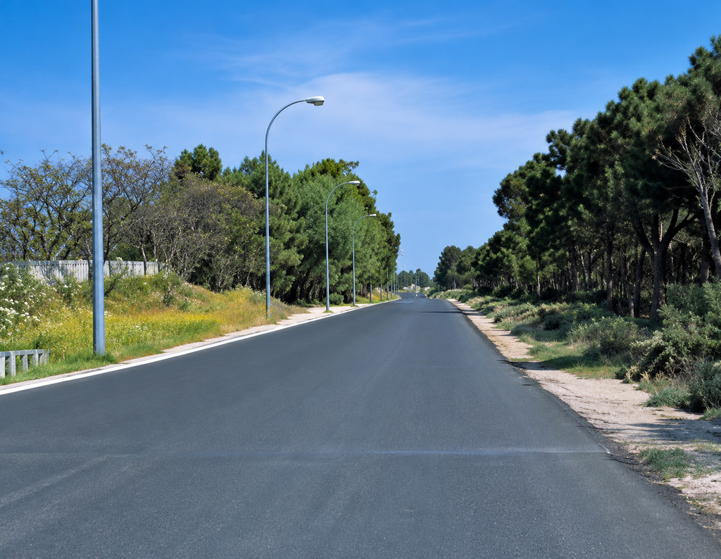 Image for question 19