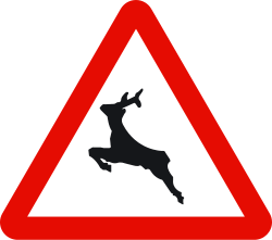 P-24 Wild animals crossing